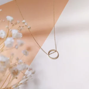 Collier cercle Noa